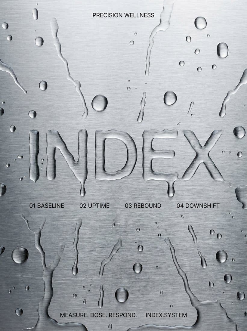 Index brand asset 2